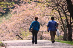 二人の春