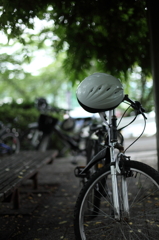 雨上がりの公園