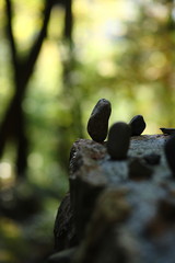 山寺探訪