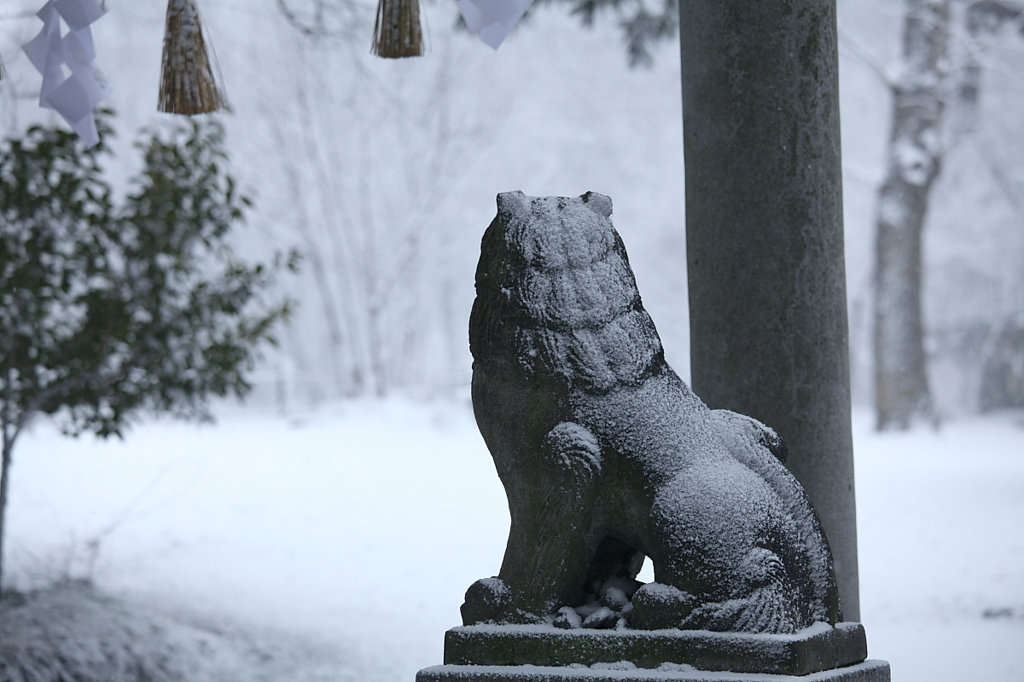 わさび田`11厳冬編