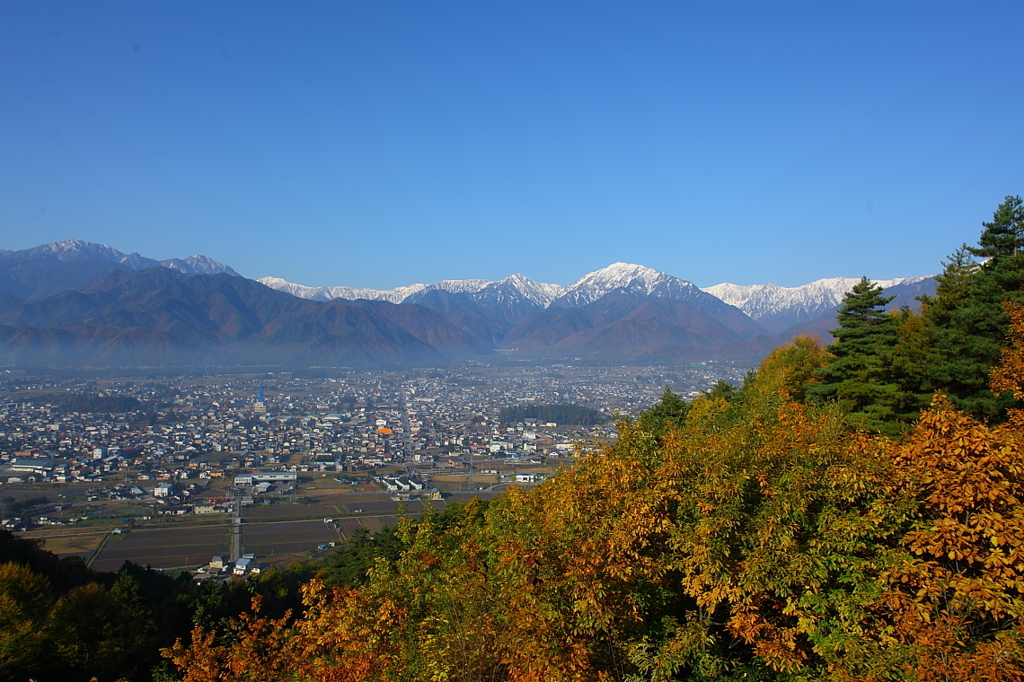 紅葉`10（霊松寺編）