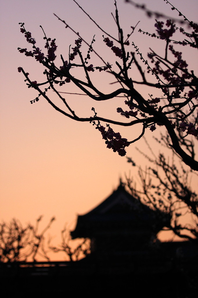 黎明松本城