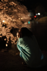桜`11夜桜と人々編