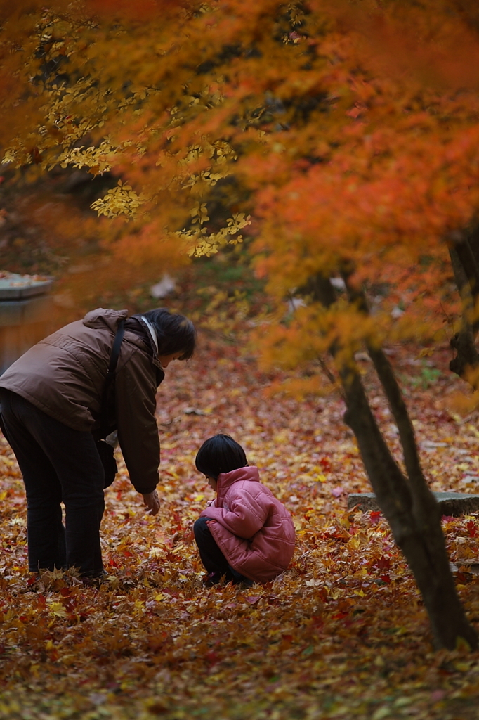紅葉`10（霊松寺　人物編）