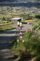 棚田歩けば（姨捨編）