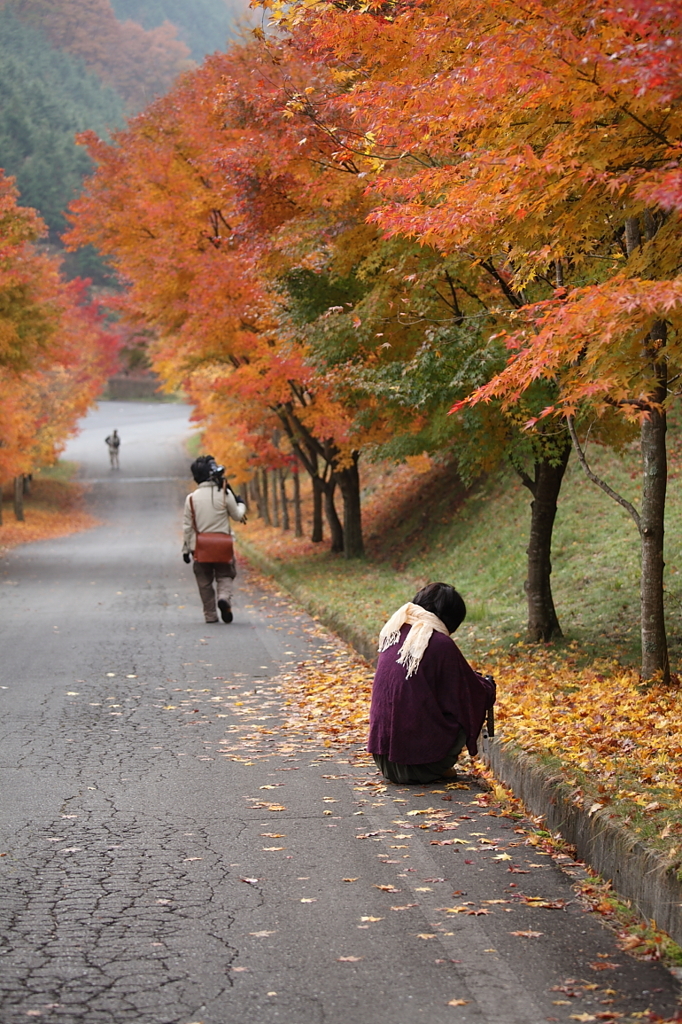 紅葉`10（もみじ湖編）