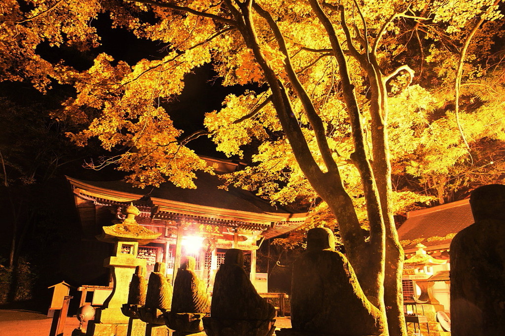 紅葉`10鹿教湯　文殊堂編