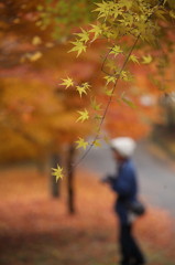 紅葉`10（もみじ湖編）