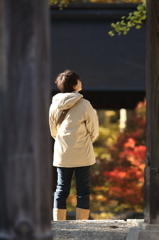 紅葉`10（霊松寺編）