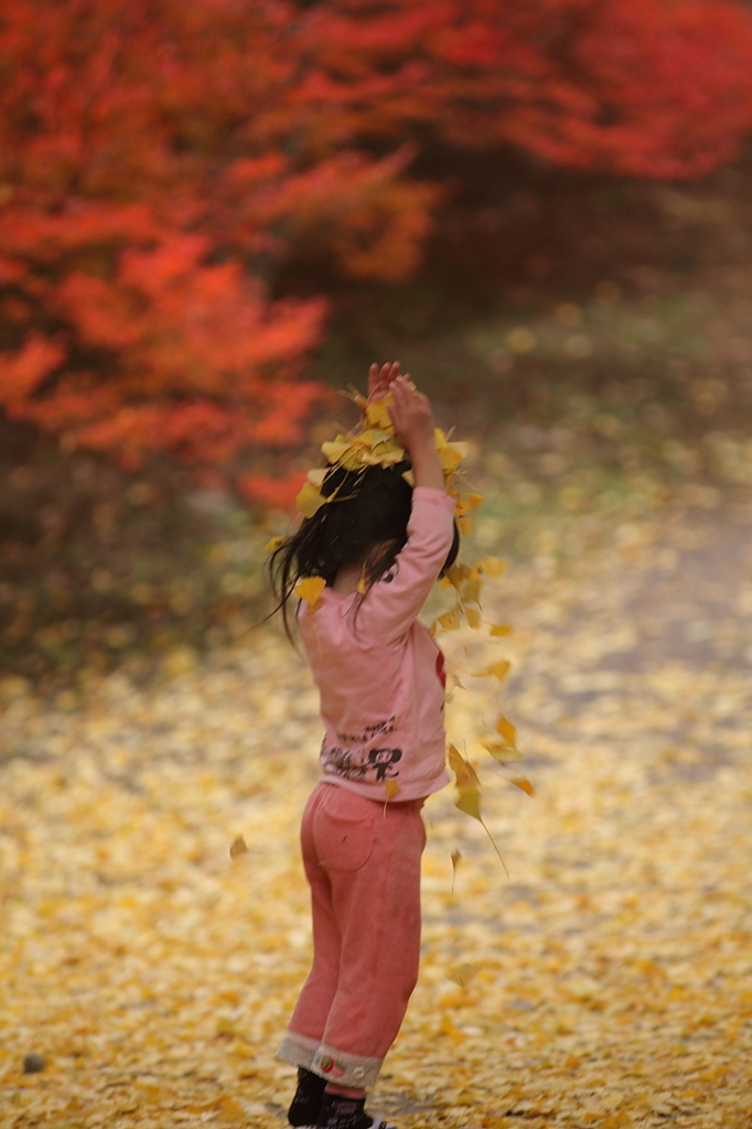 紅葉`10（霊松寺　人物編）