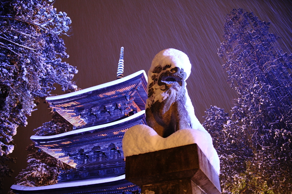 元旦の夜に