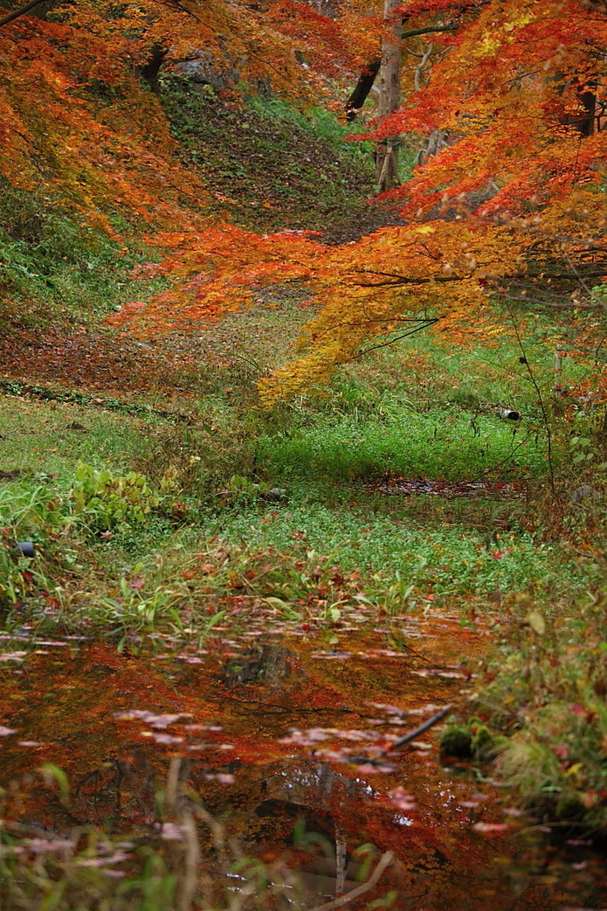 紅葉`10（高遠城址公園編）