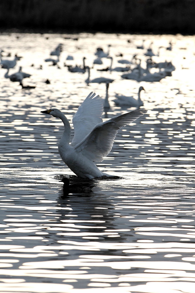安曇野の夕暮れ