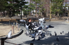 鳩使いの人