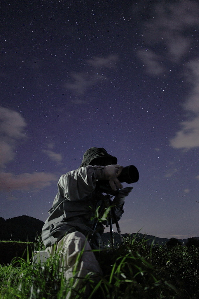 夏の夜空