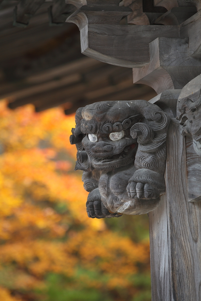 紅葉`10（霊松寺編）