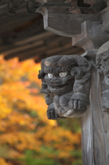 紅葉`10（霊松寺編）