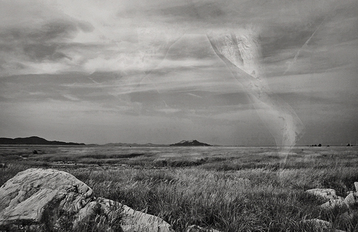 風が吹く・・・