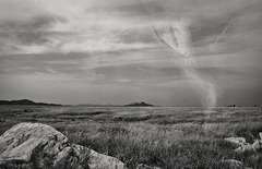 風が吹く・・・ 風が吹く・・・