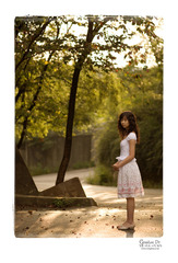 Sunny light Sunny light