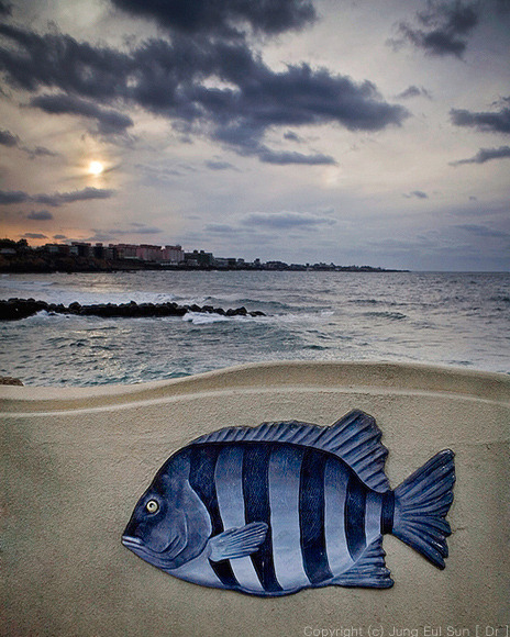海の夢