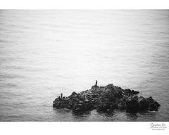 Over The Sea... Over The Sea...