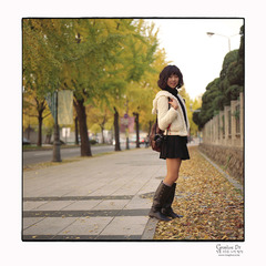 Walk on Autumn Leaves ...
