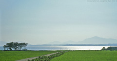 南海の夏・・・