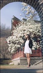 春の香・・・#3