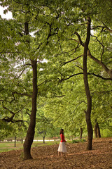 愛は森だ・・・