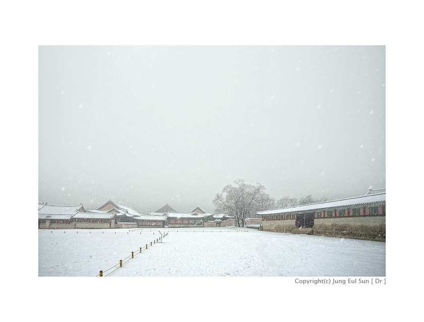 winter scene ...