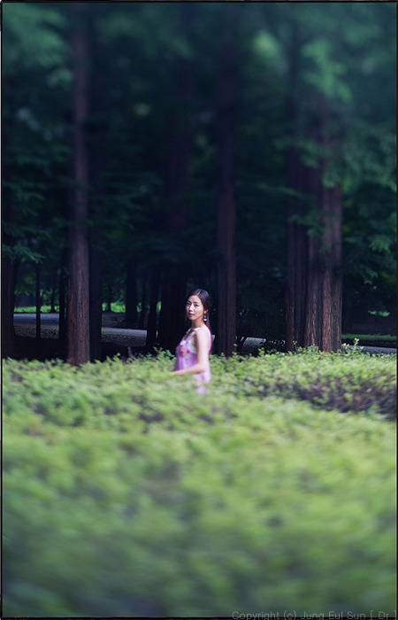 散歩・・・#3