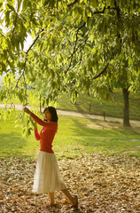 朝に書く手紙・・・