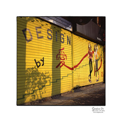 Autumn..tree     Autumn..tree