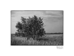 一懐かしさが他の懐かしさに・・・ 一懐かしさが他の懐かしさに・・・