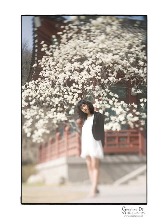 春の香・・・