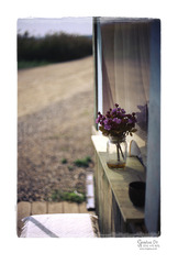 私の窓べで見える風景・・・ 私の窓べで見える風景・・・