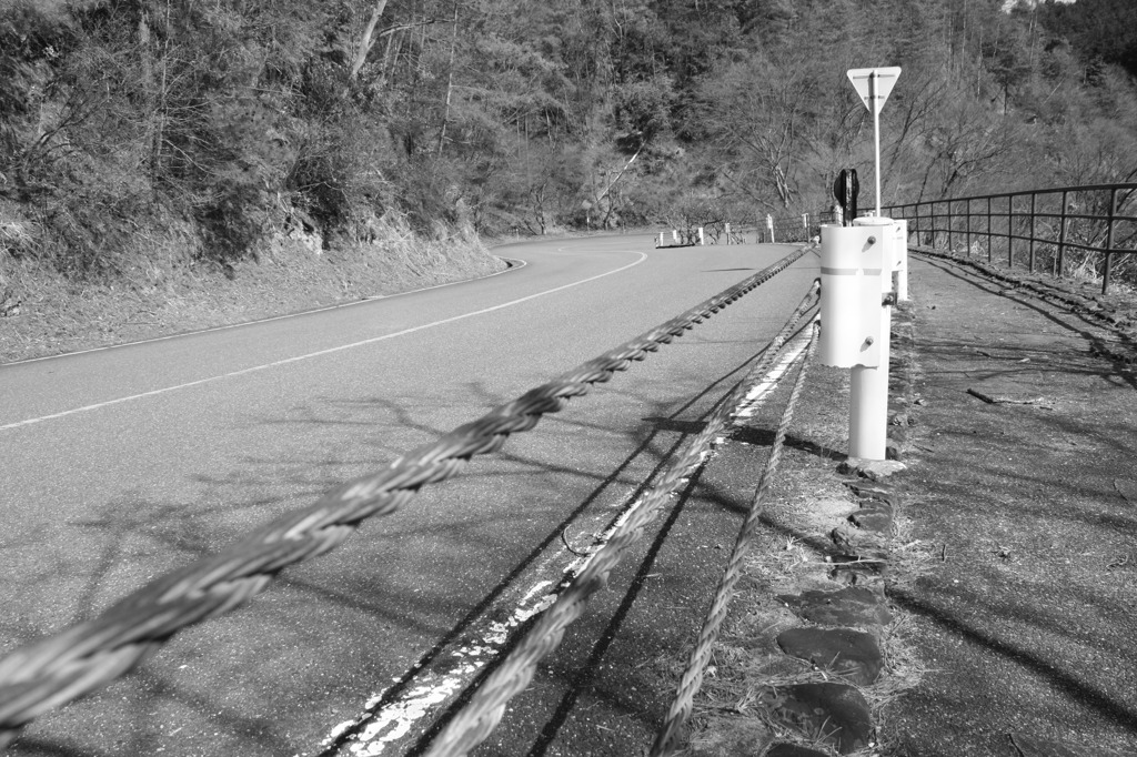 とある道