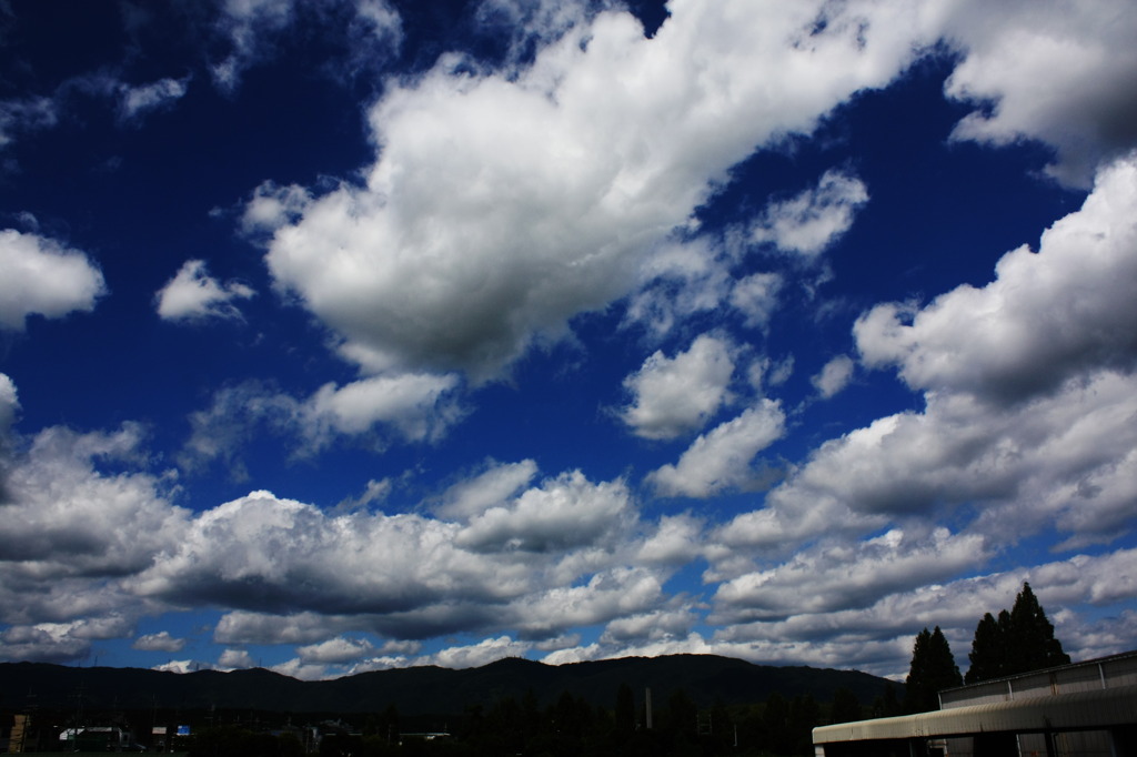 青い空