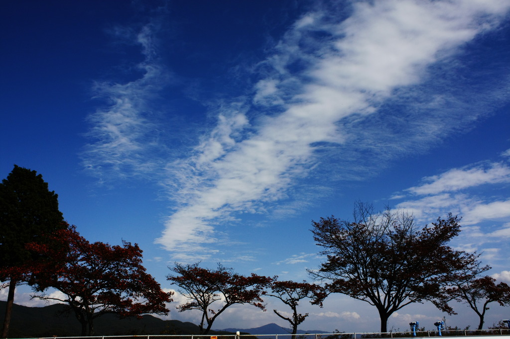 秋空