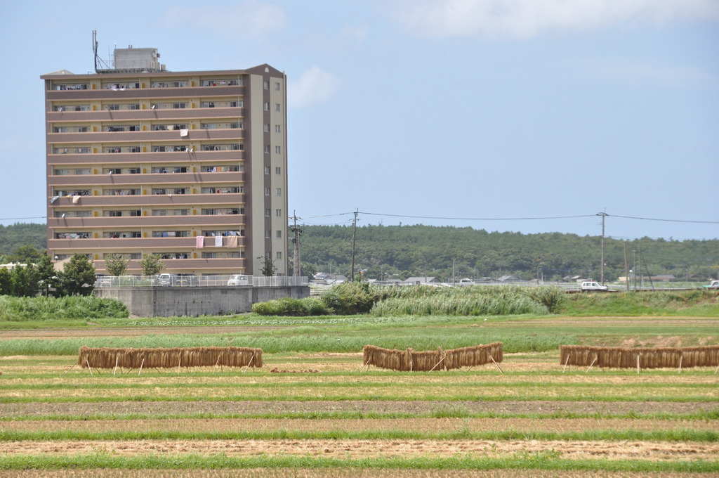 田園マンション