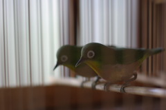 とり