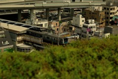 IMGP9234