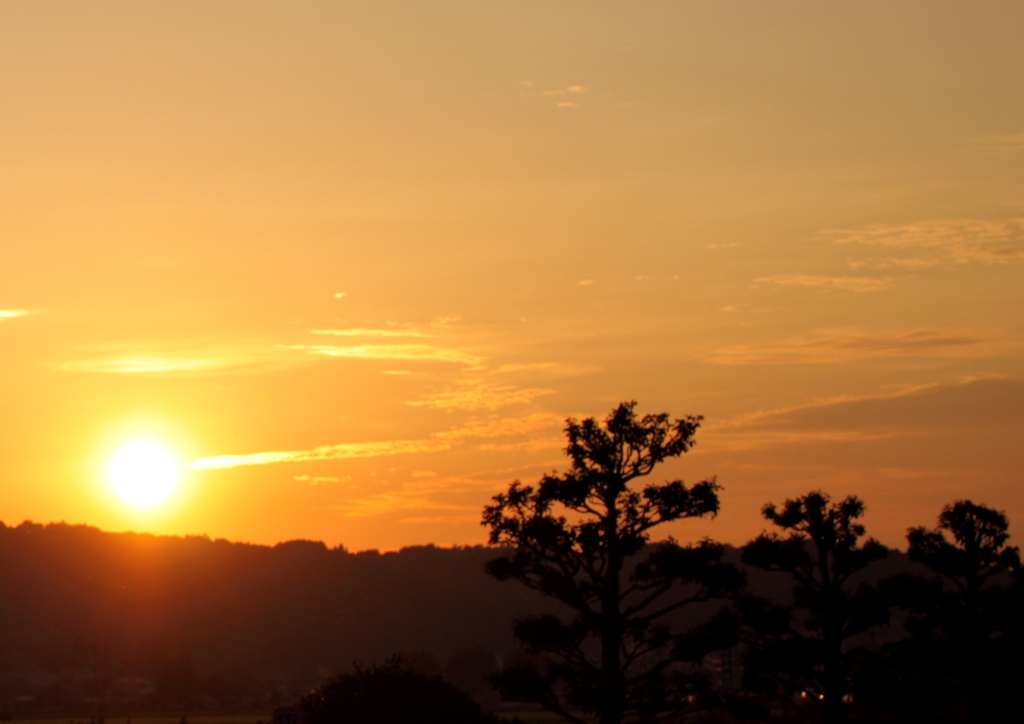 夕日