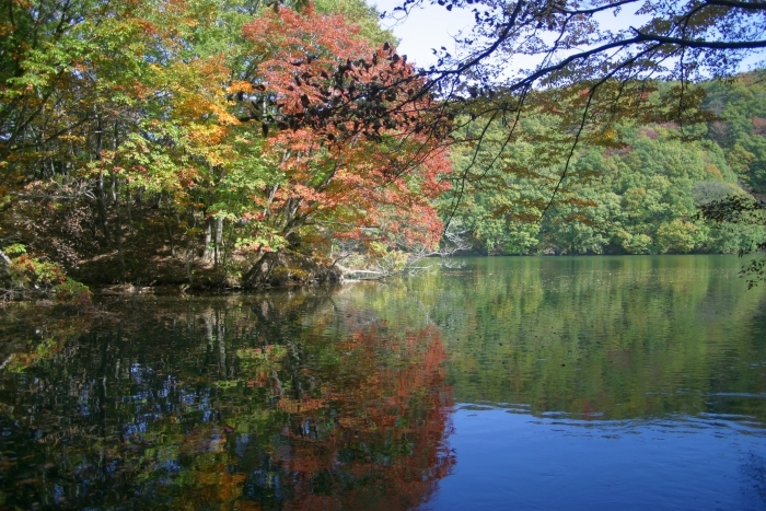 長老湖の紅葉