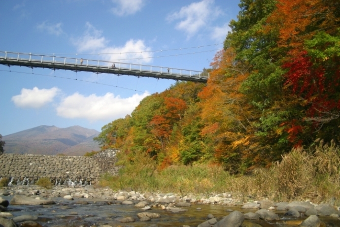 やまびこ吊り橋の紅葉