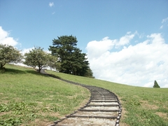 空へ続く階段