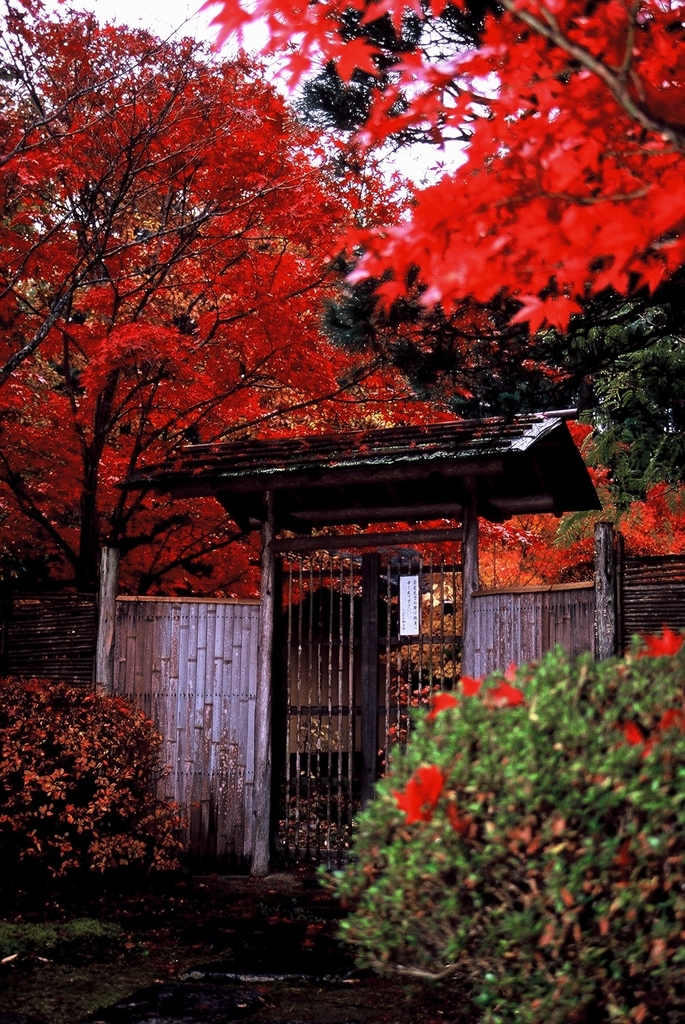 錦秋の茶室