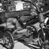 舞鶴公園