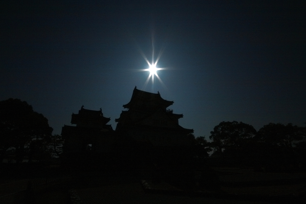 岸和田城